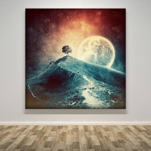 Floor_Albulena_Panduri_-