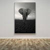 "The Elephant"