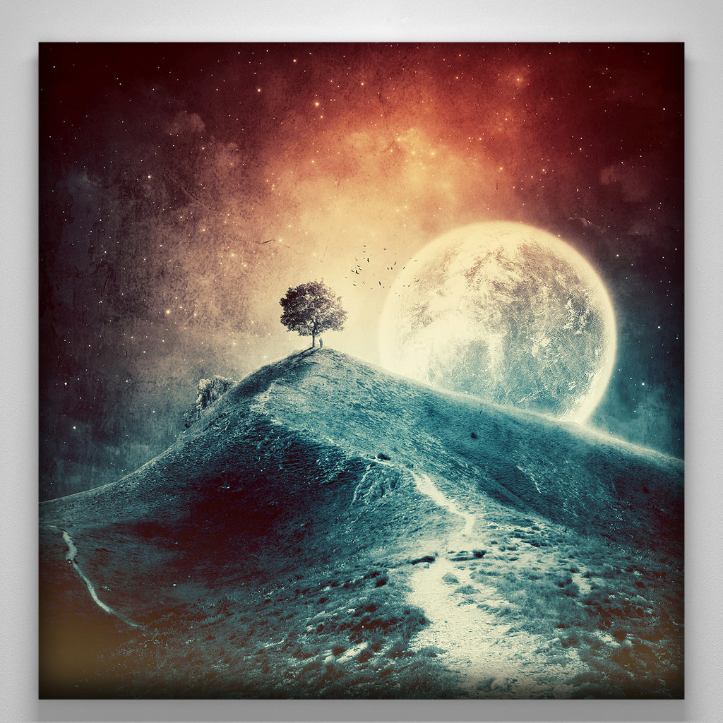 "under the colorful moonlight"