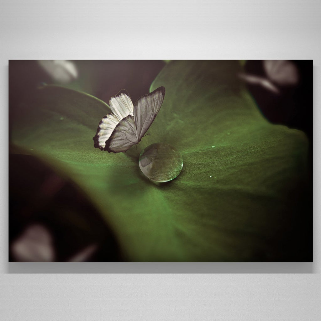 "Butterfly"