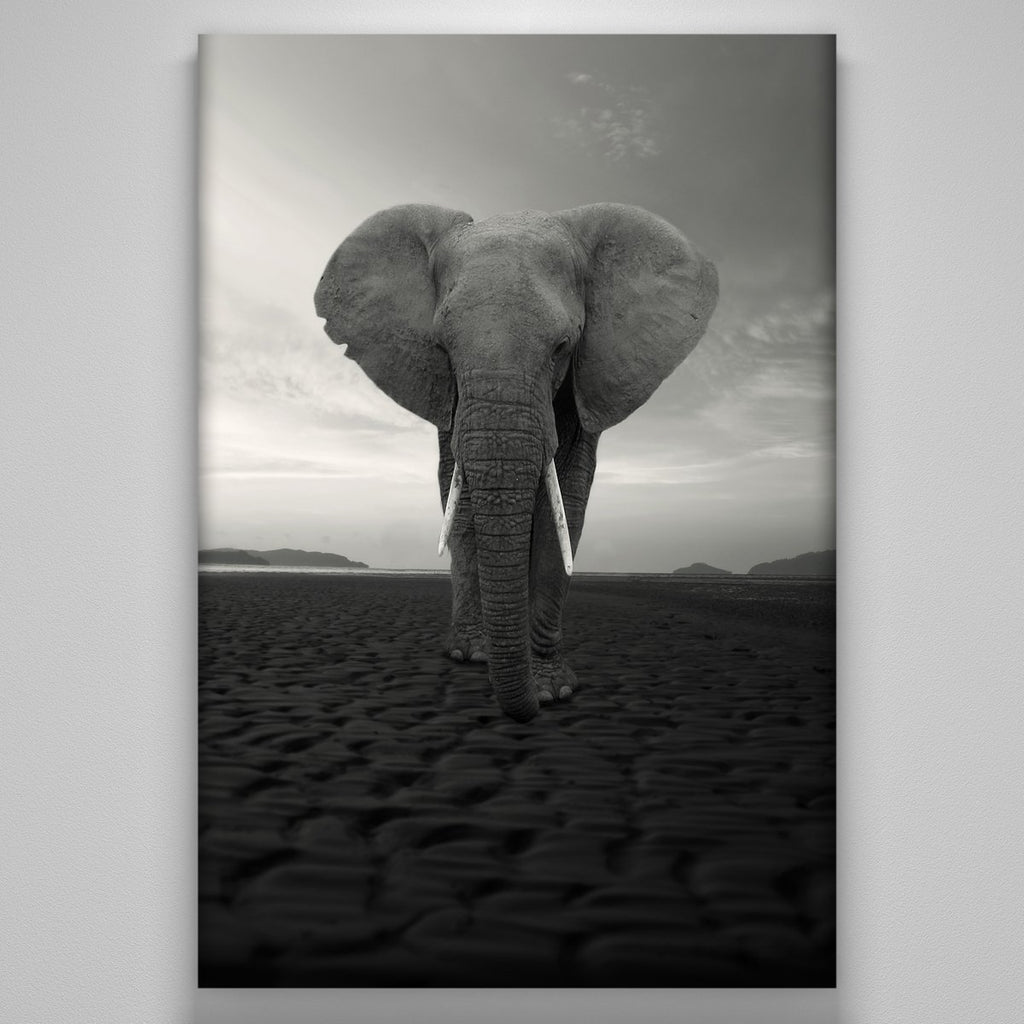 "The Elephant"