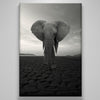 "The Elephant"