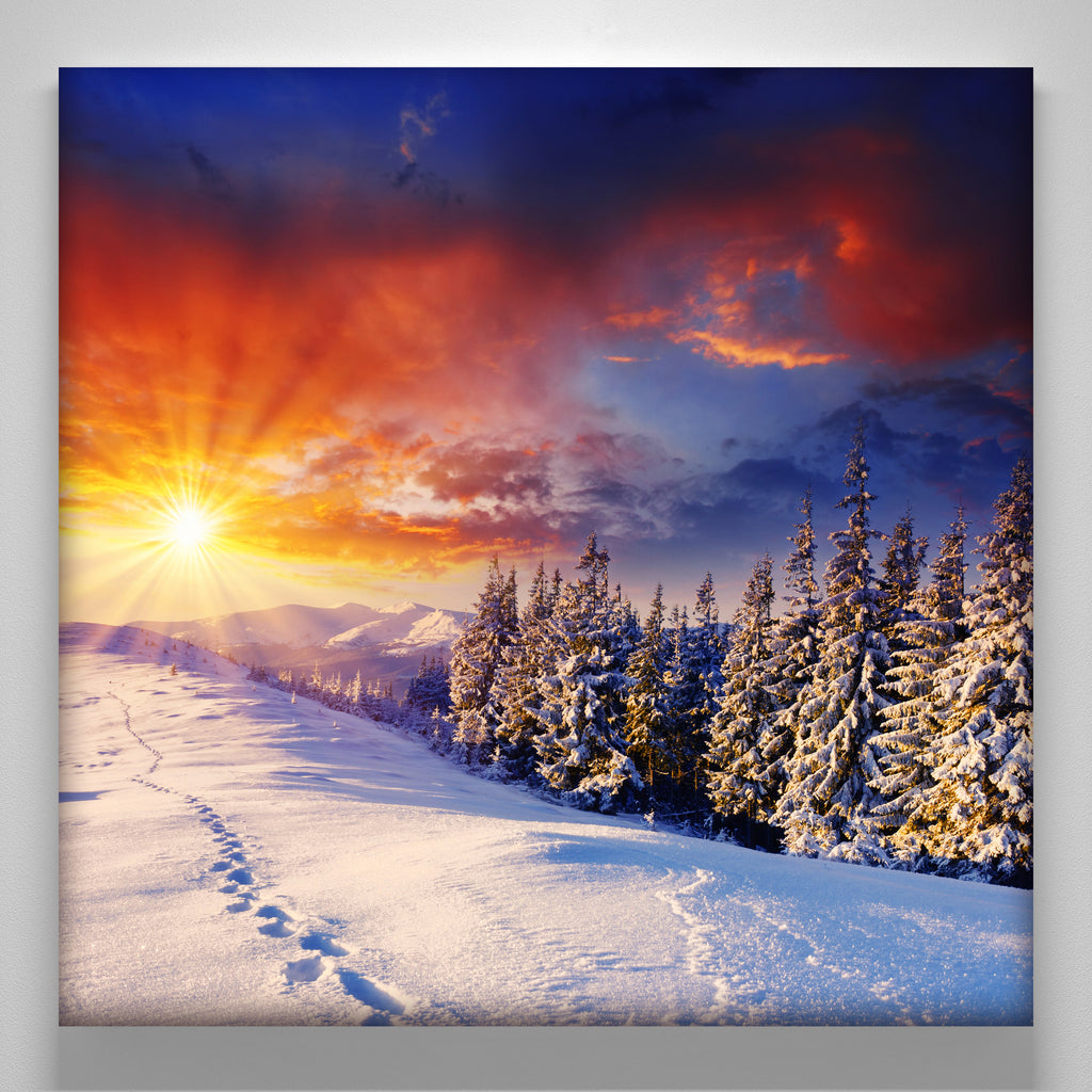 Canvas Print - Small (14" x 14")