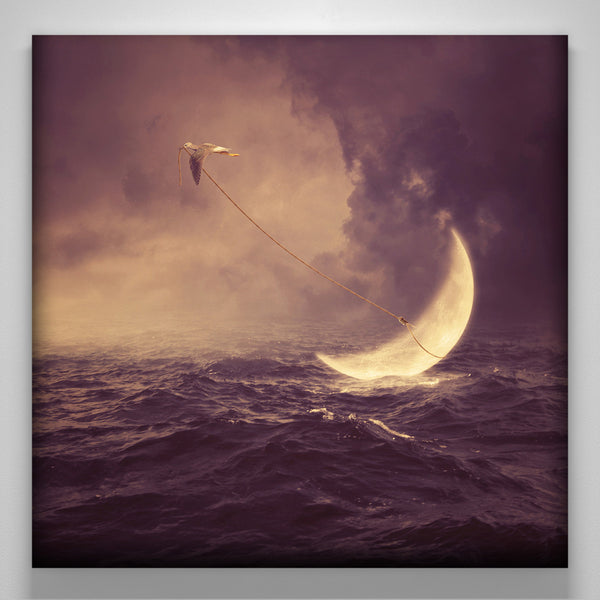 "savior of the moon"