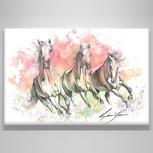 "Colours of the Wild"