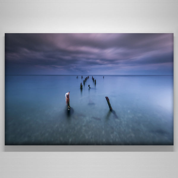 "pic20"
