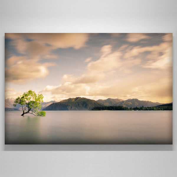 "Wanaka Tree"