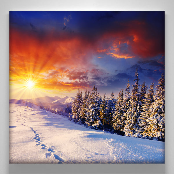 Canvas Print - Small (14" x 14")